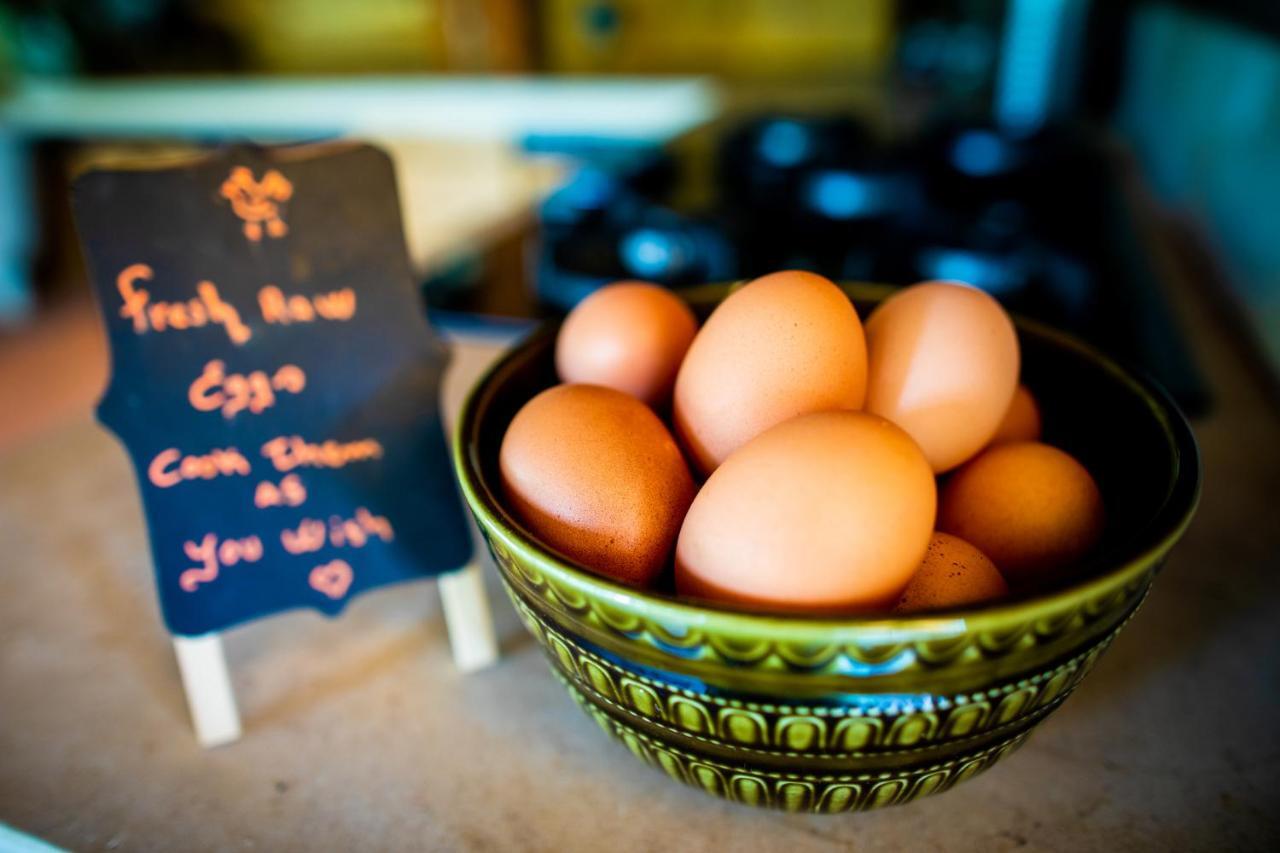 Quinta Alma - Ecological Retreat Farm 호텔 알제주르 외부 사진